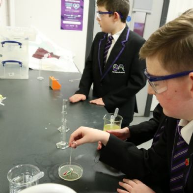 tsa_Year8Science (7)